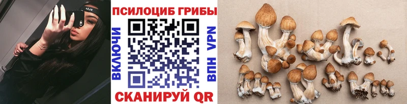 KRAKEN как войти нарко площадка состав Галлюциногенные грибы MAGIC MUSHROOMS купить Новомосковск